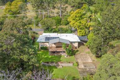 Farm Sold - QLD - Cooroy - 4563 - Rare Opportunity for Subdivision in Cooroy  (Image 2)