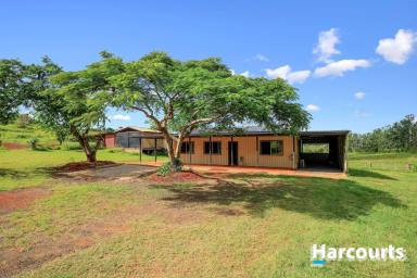 Farm For Sale - QLD - Childers - 4660 - ACREAGE LIVING RIGHT ON THE DOOR STEP OF CHILDERS  (Image 2)