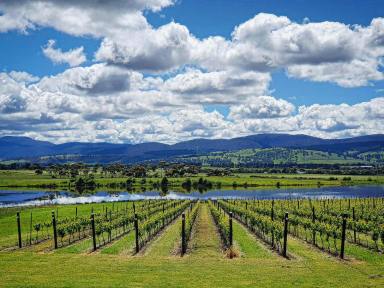 Farm For Sale - TAS - Richmond - 7025 - A Generational Opportunity to Secure a Landmark, Multi Award Winning Tasmanian Vineyard  (Image 2)