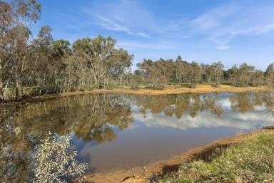 Farm For Sale - VIC - Axedale - 3551 - Peaceful location with dam and creek  (Image 2)