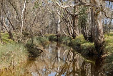 Farm For Sale - VIC - Axedale - 3551 - Peaceful location with dam and creek  (Image 2)