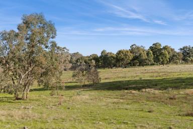 Farm Sold - VIC - Axedale - 3551 - Quiet and undulating allotment  (Image 2)