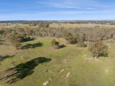 Farm Sold - VIC - Axedale - 3551 - Quiet and undulating allotment  (Image 2)