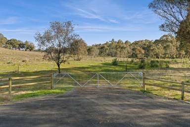 Farm For Sale - VIC - Axedale - 3551 - Inviting Entrance to a Beautiful Allotment  (Image 2)