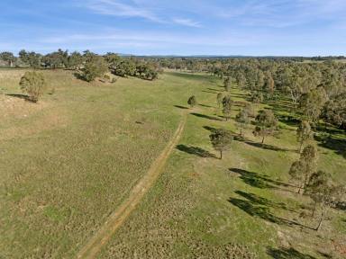 Farm For Sale - VIC - Axedale - 3551 - Inviting entrance to a beautiful allotment  (Image 2)