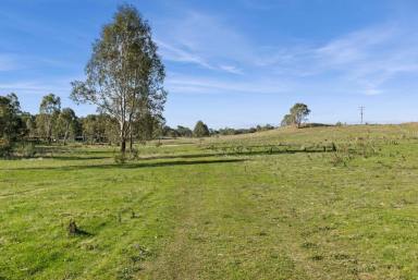 Farm For Sale - VIC - Axedale - 3551 - Inviting entrance to a beautiful allotment  (Image 2)