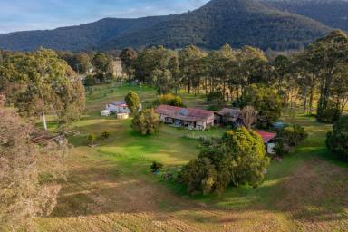 Farm For Sale - NSW - Paterson - 2421 - Clean Country Air  (Image 2)