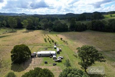 Farm Sold - QLD - Wolvi - 4570 - Rare 36 acre Opportunity!  (Image 2)