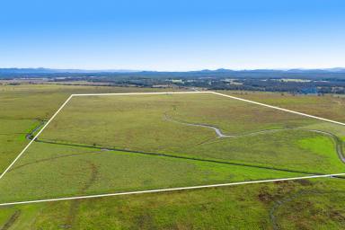 Farm For Sale - NSW - Clybucca - 2440 - Prime Cattle Farming Oasis-200 Acres of Opportunity in Clybucca Valley  (Image 2)