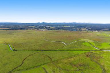 Farm For Sale - NSW - Clybucca - 2440 - Prime Cattle Farming Oasis-200 Acres of Opportunity in Clybucca Valley  (Image 2)