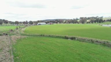 Farm For Sale - NSW - Molong - 2866 - Mixed Farming and Grazing Property  (Image 2)