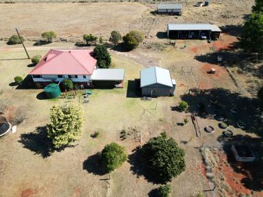 Farm For Sale - QLD - Benair - 4610 - Excellent Water, Quality Red Soil, Great Location!  (Image 2)