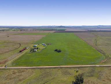 Farm For Sale - QLD - Wyreema - 4352 - 'Fairview' - 90acres  (Image 2)