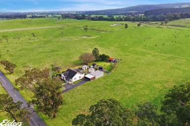 Farm For Sale - VIC - Calrossie - 3971 - OLD WORLD CHARM WITH ACREAGE  (Image 2)