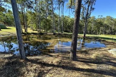 Farm For Sale - QLD - Glenwood - 4570 - WHAT A BEAUTY!  (Image 2)