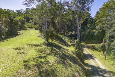 Farm For Sale - NSW - Bellingen - 2454 - Lifestyle Block Close to Town  (Image 2)