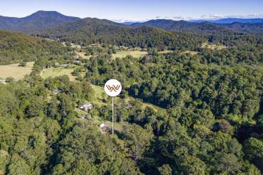 Farm For Sale - NSW - Bellingen - 2454 - Lifestyle Block Close to Town  (Image 2)