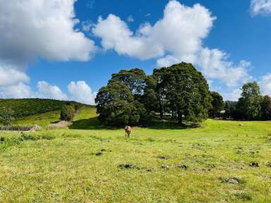 Farm For Sale - TAS - Branxholm - 7261 - Discover a perfect blend of modern comfort and natural beauty  (Image 2)