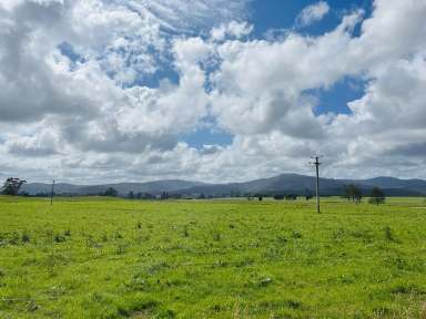 Farm For Sale - TAS - Branxholm - 7261 - Discover a perfect blend of modern comfort and natural beauty  (Image 2)