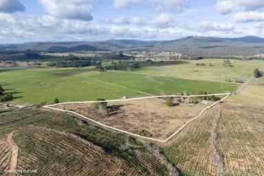 Farm For Sale - TAS - Branxholm - 7261 - Discover a perfect blend of modern comfort and natural beauty at 91 Fenckers Road Branxholm  (Image 2)