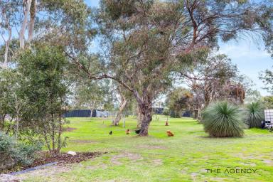 Farm For Sale - WA - Southern River - 6110 - A Lifestyle Like No Other!  (Image 2)