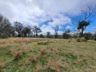 Farm For Sale - QLD - Plainby - 4355 - 50 acres, scrub block with fantastic views. BACK ON THE MARKET>  (Image 2)