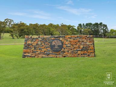 Farm For Sale - NSW - Moss Vale - 2577 - Prime Residential Land  (Image 2)