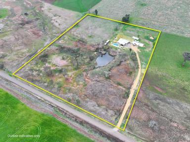 Farm For Sale - NSW - Parkes - 2870 - Your Dream Country Lifestyle Awaits at 137 Maguire Road, Parkes  (Image 2)