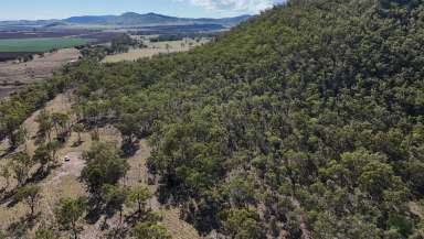 Farm For Sale - QLD - Coalstoun Lakes - 4621 - Perfect lifestyle block  (Image 2)