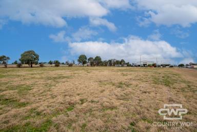 Farm For Sale - NSW - Deepwater - 2371 - Vacant Commercial Land  (Image 2)