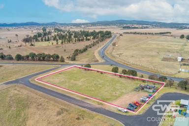 Farm For Sale - NSW - Deepwater - 2371 - Vacant Commercial Land  (Image 2)