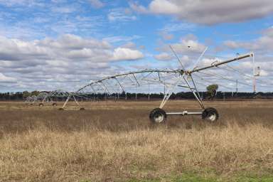 Farm For Sale - QLD - Tellebang - 4630 - Monto District Irrigation & Grazing Operation  (Image 2)