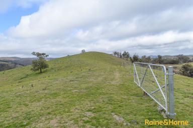 Farm For Sale - NSW - Walcha - 2354 - 'Fairy Creek'  (Image 2)