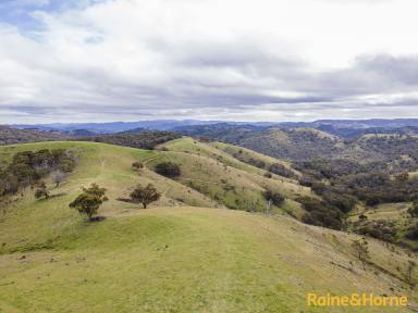 Farm For Sale - NSW - Walcha - 2354 - 'Fairy Creek'  (Image 2)