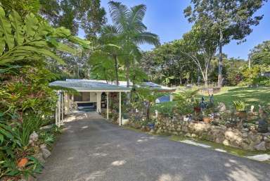 Farm For Sale - QLD - Kuranda - 4881 - WELL POSITIONED POCKET PLEASER  (Image 2)