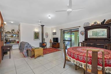 Farm For Sale - QLD - Kuranda - 4881 - WELL POSITIONED POCKET PLEASER  (Image 2)