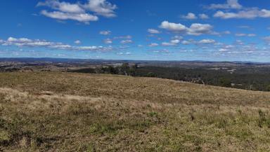 Farm For Sale - QLD - Goomeribong - 4601 - A property that ticks all the boxes - Goomeri District Grazing  (Image 2)