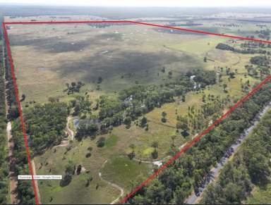 Farm Sold - QLD - Chinchilla - 4413 - Under Contract by Team Barker  (Image 2)