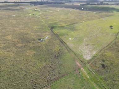 Farm Sold - QLD - Chinchilla - 4413 - Under Contract by Team Barker  (Image 2)