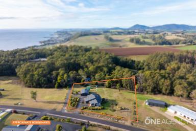 Farm For Sale - TAS - Heybridge - 7316 - A Family Home That Has It All And Some  (Image 2)