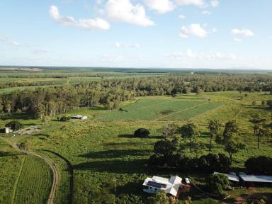 Farm For Sale - QLD - North Gregory - 4660 - "GREGORY PARK" IRRIGATION FARM WITH TWO (2) HOMES  (Image 2)