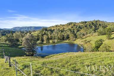 Farm For Sale - QLD - Kidaman Creek - 4574 - Country Estate : 142 Acres, Obi Obi Valley  (Image 2)