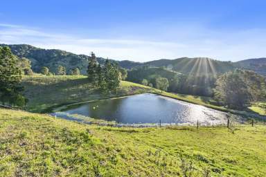 Farm For Sale - QLD - Kidaman Creek - 4574 - Country Estate : 278 Acres, 2 Titles Obi Obi Valley  (Image 2)