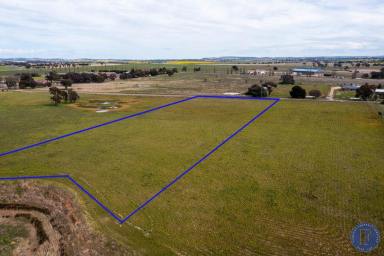 Farm For Sale - NSW - Boorowa - 2586 - Space to Build or Develop  (Image 2)