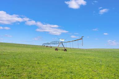 Farm For Sale - WA - Gingin - 6503 - CHERITON ESTATE  (Image 2)