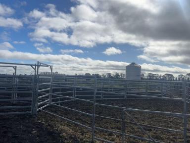 Farm For Sale - VIC - Myall - 3579 - Ideal Cattle Grazing Block  (Image 2)