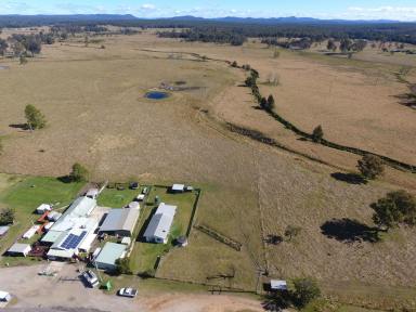 Farm For Sale - NSW - Whiporie - 2469 - VILLAGE LIFE  (Image 2)