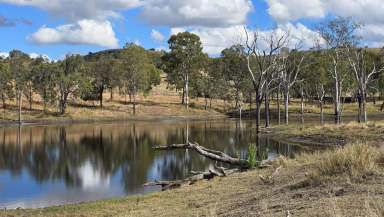 Farm For Sale - QLD - Murgon - 4605 - Southern QLD Cattle Country & Spectacular Views.  (Image 2)