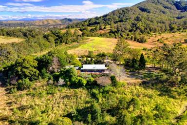 Farm For Sale - NSW - Belbora - 2422 - Beautiful Belbora Acreage!  (Image 2)