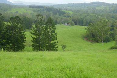 Farm For Sale - NSW - Kyogle - 2474 - "AMAROO"  (Image 2)